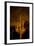 Saguaro Cactus At Night, Arizona-Steve Gadomski-Framed Photographic Print