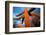 Saguaro cactus at Saguaro National Park, Tucson, Arizona, USA-null-Framed Photographic Print