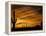 Saguaro Cactus at Sunset, Sonoran Desert, Arizona, USA-Marilyn Parver-Framed Premier Image Canvas