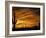 Saguaro Cactus at Sunset, Sonoran Desert, Arizona, USA-Marilyn Parver-Framed Photographic Print