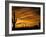 Saguaro Cactus at Sunset, Sonoran Desert, Arizona, USA-Marilyn Parver-Framed Photographic Print