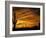 Saguaro Cactus at Sunset, Sonoran Desert, Arizona, USA-Marilyn Parver-Framed Photographic Print