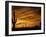 Saguaro Cactus at Sunset, Sonoran Desert, Arizona, USA-Marilyn Parver-Framed Photographic Print