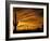 Saguaro Cactus at Sunset, Sonoran Desert, Arizona, USA-Marilyn Parver-Framed Photographic Print