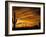 Saguaro Cactus at Sunset, Sonoran Desert, Arizona, USA-Marilyn Parver-Framed Photographic Print