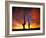 Saguaro Cactus at Sunset, Sonoran Desert, Arizona, USA-Marilyn Parver-Framed Photographic Print