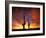 Saguaro Cactus at Sunset, Sonoran Desert, Arizona, USA-Marilyn Parver-Framed Photographic Print