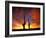 Saguaro Cactus at Sunset, Sonoran Desert, Arizona, USA-Marilyn Parver-Framed Photographic Print