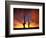 Saguaro Cactus at Sunset, Sonoran Desert, Arizona, USA-Marilyn Parver-Framed Photographic Print