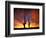 Saguaro Cactus at Sunset, Sonoran Desert, Arizona, USA-Marilyn Parver-Framed Photographic Print