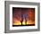 Saguaro Cactus at Sunset, Sonoran Desert, Arizona, USA-Marilyn Parver-Framed Premium Photographic Print