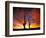 Saguaro Cactus at Sunset, Sonoran Desert, Arizona, USA-Marilyn Parver-Framed Premium Photographic Print