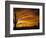 Saguaro Cactus at Sunset, Sonoran Desert, Arizona, USA-Marilyn Parver-Framed Photographic Print