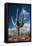 Saguaro Cactus Await Monsoon-raphoto-Framed Premier Image Canvas