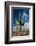 Saguaro Cactus Await Monsoon-raphoto-Framed Photographic Print