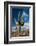 Saguaro Cactus Await Monsoon-raphoto-Framed Photographic Print