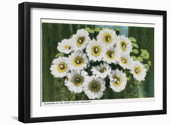 Saguaro Cactus Blossoms-null-Framed Art Print