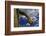 Saguaro cactus buds, Organ Pipe Cactus National Monument, Sonora Desert, Arizona, USA-Jouan Rius-Framed Photographic Print