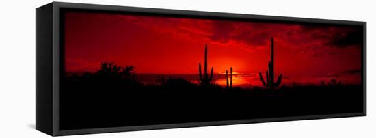 Saguaro Cactus (Carnegiea Gigantea) in a Desert at Dusk, Arizona, USA-null-Framed Premier Image Canvas