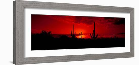 Saguaro Cactus (Carnegiea Gigantea) in a Desert at Dusk, Arizona, USA-null-Framed Photographic Print