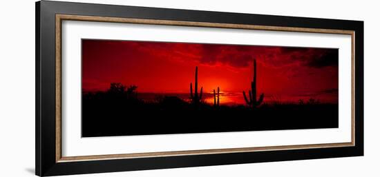 Saguaro Cactus (Carnegiea Gigantea) in a Desert at Dusk, Arizona, USA-null-Framed Photographic Print