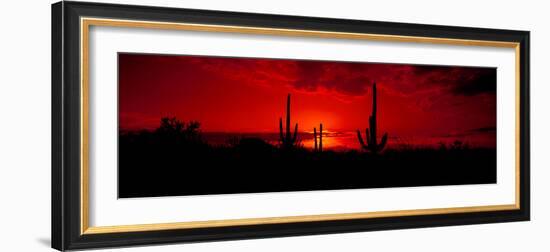 Saguaro Cactus (Carnegiea Gigantea) in a Desert at Dusk, Arizona, USA-null-Framed Photographic Print