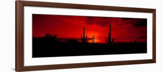 Saguaro Cactus (Carnegiea Gigantea) in a Desert at Dusk, Arizona, USA-null-Framed Photographic Print