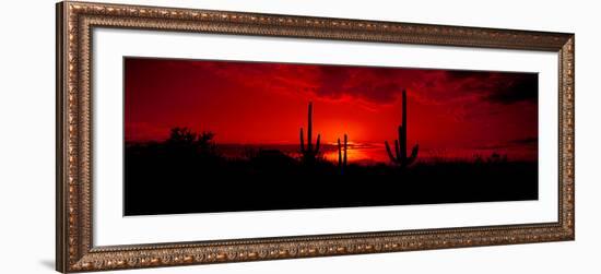 Saguaro Cactus (Carnegiea Gigantea) in a Desert at Dusk, Arizona, USA-null-Framed Photographic Print