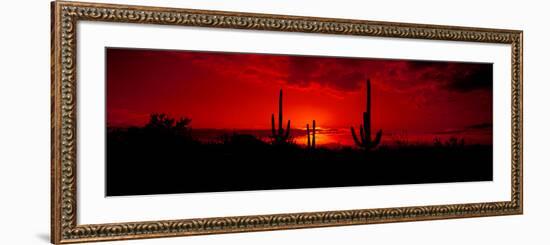 Saguaro Cactus (Carnegiea Gigantea) in a Desert at Dusk, Arizona, USA-null-Framed Photographic Print