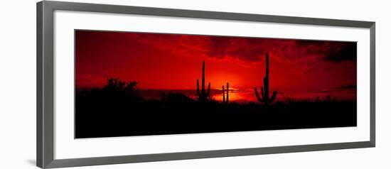 Saguaro Cactus (Carnegiea Gigantea) in a Desert at Dusk, Arizona, USA--Framed Photographic Print