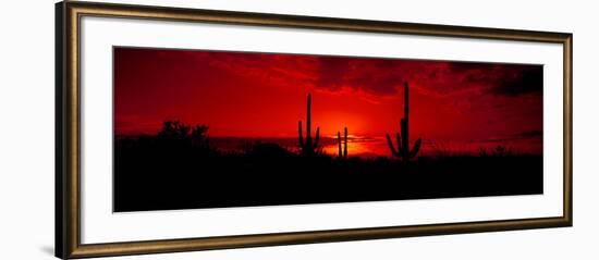 Saguaro Cactus (Carnegiea Gigantea) in a Desert at Dusk, Arizona, USA-null-Framed Photographic Print