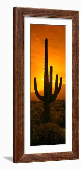 Saguaro Cactus (Carnegiea Gigantea) in a Desert at Sunrise, Arizona, USA-null-Framed Photographic Print