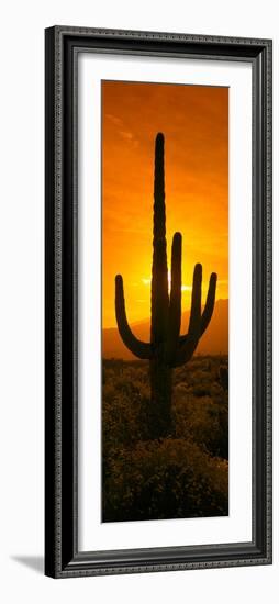 Saguaro Cactus (Carnegiea Gigantea) in a Desert at Sunrise, Arizona, USA-null-Framed Photographic Print