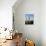 Saguaro Cactus, Carnegiea Gigantea, in the Sonoran Desert-Christopher Talbot Frank-Photographic Print displayed on a wall