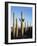 Saguaro Cactus, Carnegiea Gigantea, in the Sonoran Desert-Christopher Talbot Frank-Framed Photographic Print