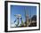 Saguaro cactus (Carnegiea gigantea), Organ Pipe Cactus National Monument, Sonoran Desert, Arizona-Michael Nolan-Framed Photographic Print