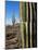 Saguaro Cactus (Carnegiea Gigantea), Saguaro National Park, Arizona-James Hager-Mounted Photographic Print