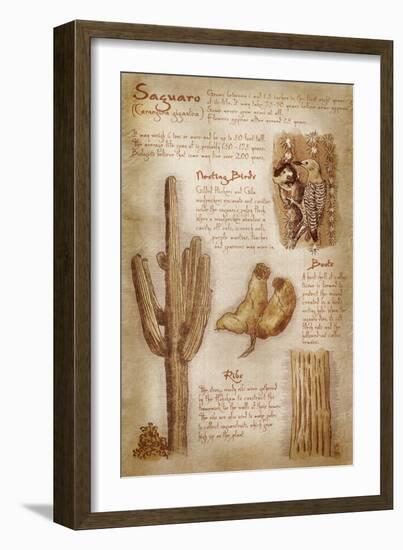 Saguaro Cactus - da Vinci Style-Lantern Press-Framed Art Print