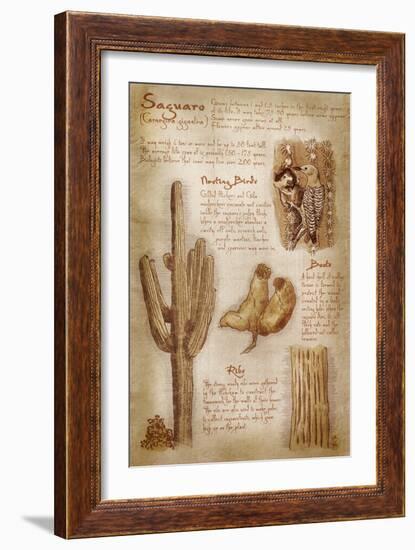 Saguaro Cactus - da Vinci Style-Lantern Press-Framed Art Print