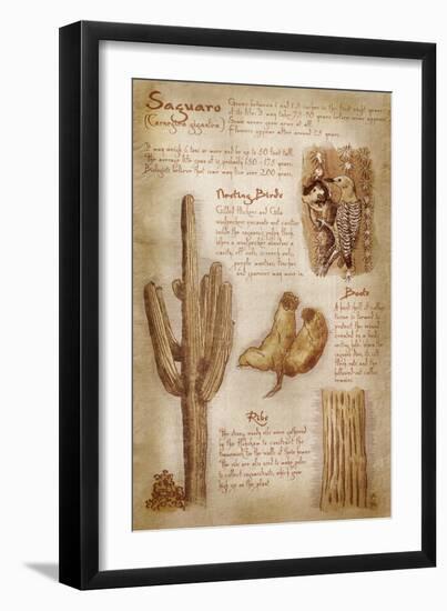 Saguaro Cactus - da Vinci Style-Lantern Press-Framed Art Print