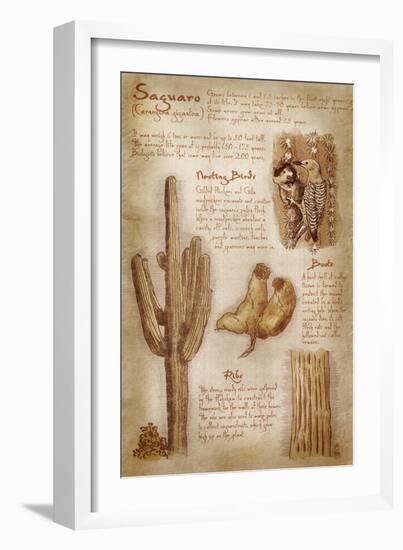 Saguaro Cactus - da Vinci Style-Lantern Press-Framed Art Print