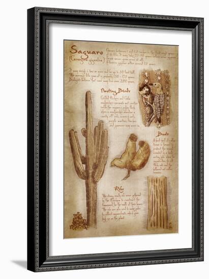 Saguaro Cactus - da Vinci Style-Lantern Press-Framed Art Print