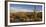 Saguaro Cactus Dominate the Landscape at Saguaro National Park in Tucson, Arizona, Usa-Chuck Haney-Framed Photographic Print