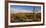 Saguaro Cactus Dominate the Landscape at Saguaro National Park in Tucson, Arizona, Usa-Chuck Haney-Framed Photographic Print