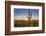 Saguaro Cactus Dominate the Landscape at Saguaro National Park in Tucson, Arizona, Usa-Chuck Haney-Framed Photographic Print