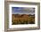 Saguaro Cactus Dominate the Landscape at Saguaro National Park in Tucson, Arizona, Usa-Chuck Haney-Framed Photographic Print