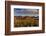 Saguaro Cactus Dominate the Landscape at Saguaro National Park in Tucson, Arizona, Usa-Chuck Haney-Framed Photographic Print