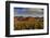 Saguaro Cactus Dominate the Landscape at Saguaro National Park in Tucson, Arizona, Usa-Chuck Haney-Framed Photographic Print