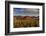 Saguaro Cactus Dominate the Landscape at Saguaro National Park in Tucson, Arizona, Usa-Chuck Haney-Framed Photographic Print