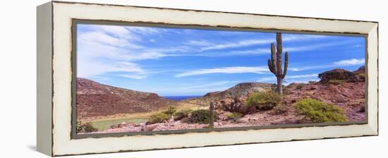 Saguaro Cactus in Arid Area, El Embudo, Isla Partida, La Paz, Baja California Sur, Mexico-null-Framed Stretched Canvas